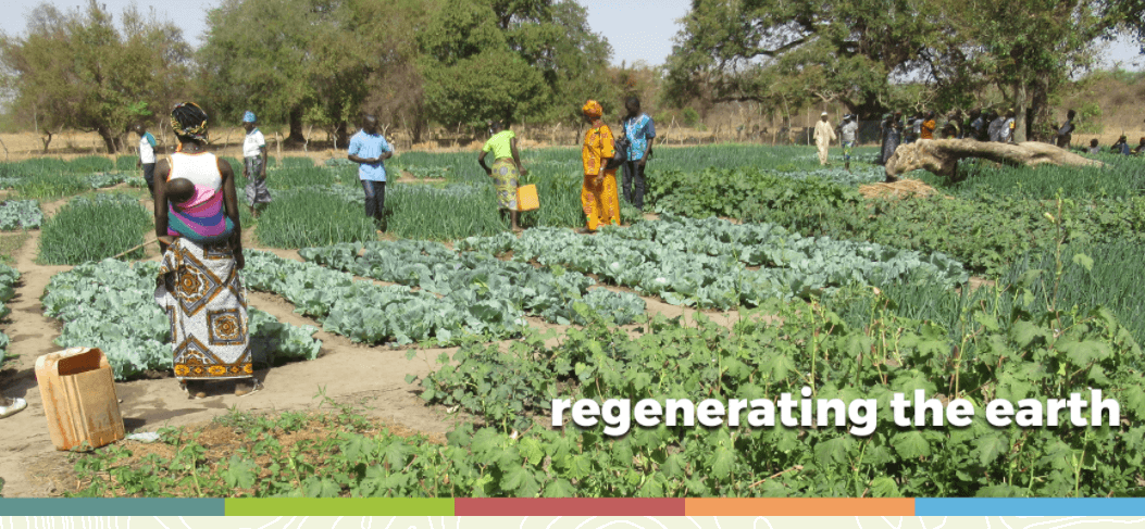 'regenerating the earth' text/women farmers working in the field