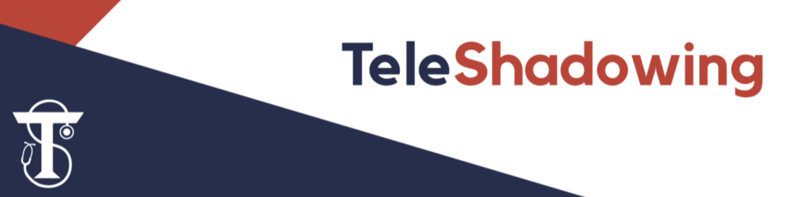 TeleShadowing