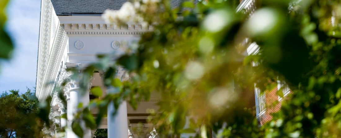 McKeldin Library with blossoms