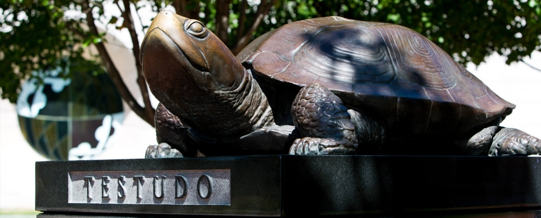 Testudo in front of Riggs