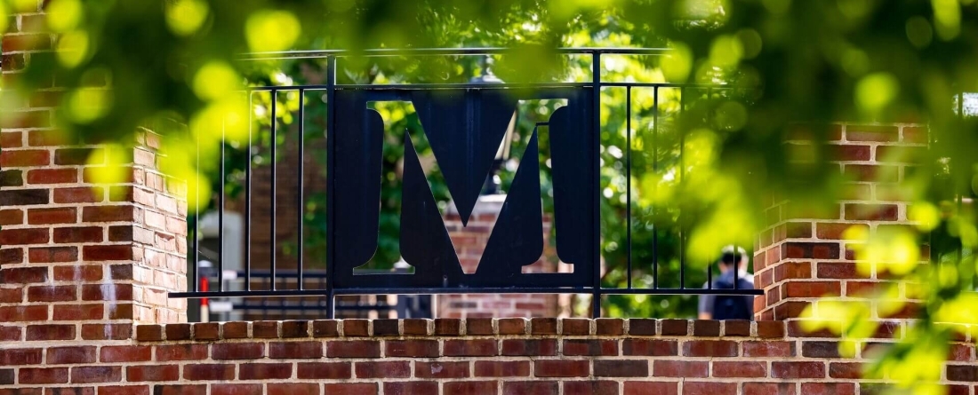 image of "M" on brock wall with tree leaves in foreground